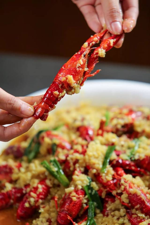 开云电竞官方网站