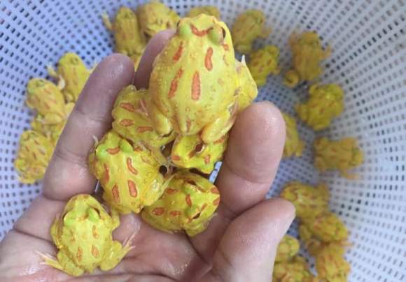 开云电竞官方网站