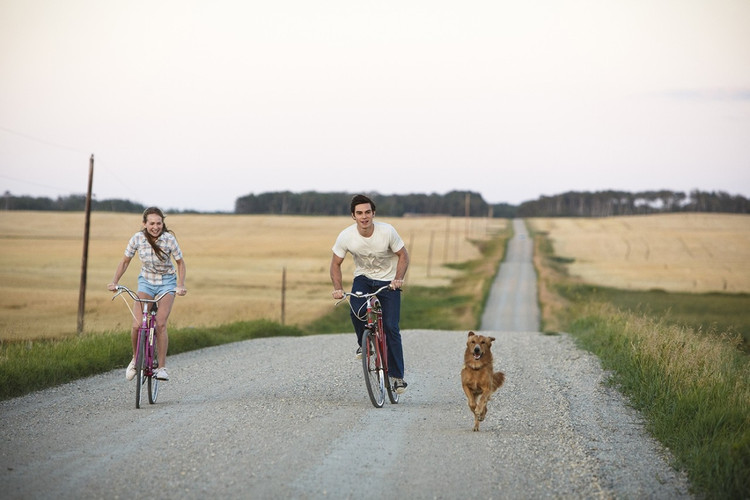开云电竞官方网站